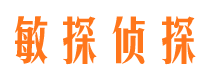 君山敏探私家侦探公司